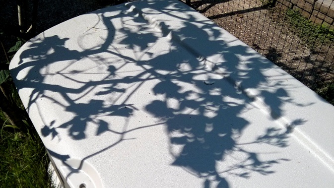 crescent shadows from tree