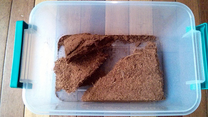 coir test chunks dry