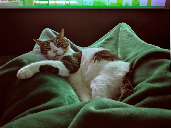 cat on recliner footrest