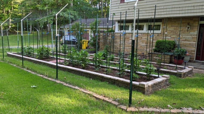 front flower beds