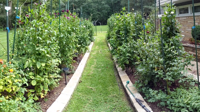 front beds panorama