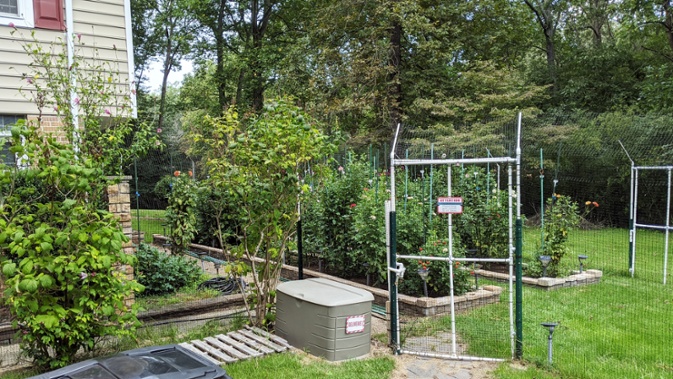 front beds through fence