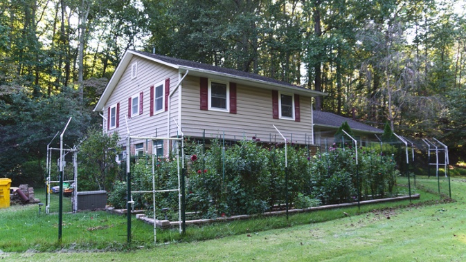 front beds and house