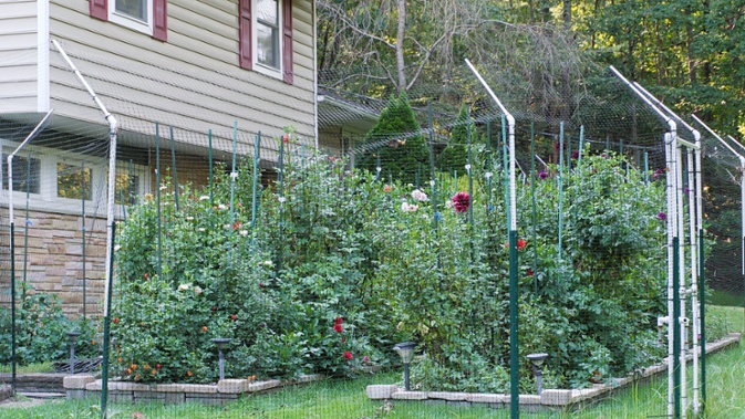 front beds through fence