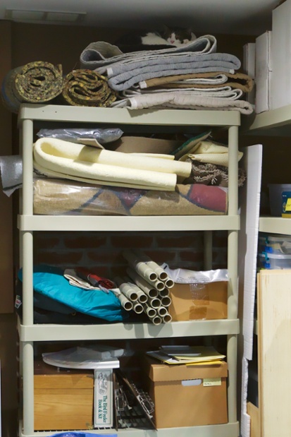 cat sleeping on top shelf