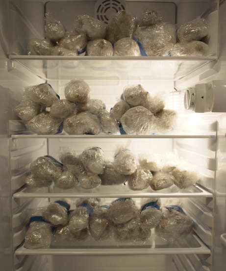 tubers stored in fridge