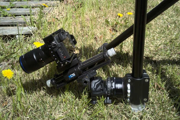 dandelion macro rig close