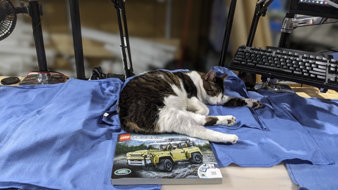 cat sleeping on covered lego parts