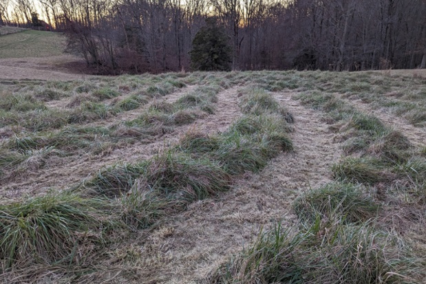 labyrinth curving paths