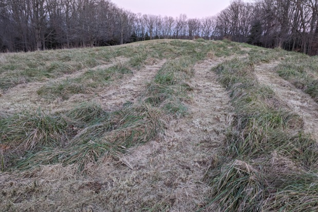 labyrinth twisting paths