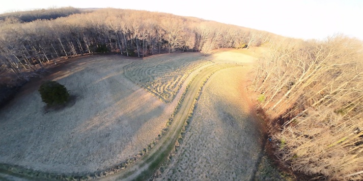 labyrinth from barn field