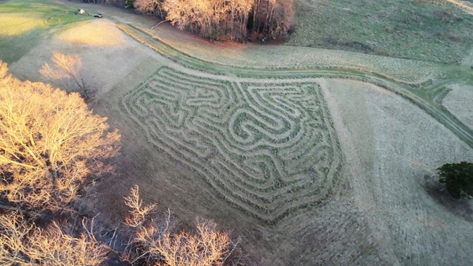 labyrinth overhead from woods